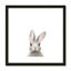 Art encadré en lapins forestières-48188938-48188939