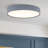5Cct Led Round  Flush Mount-1216931740