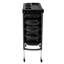 Chariot de salon multifonctionnel avec roulettes H 35,4 po x l 20,5 po à 6 niveaux
