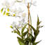 Orchidée artificielle 19 po Deluxe-1772051680