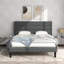 Nakasi Upholstered Bed-1310646067-1208367561