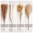 17'' Pampas Grass Plant