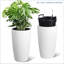 Pot Planter