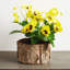 Yellow Pansy Faux Plant Arrangement in Birch Planter