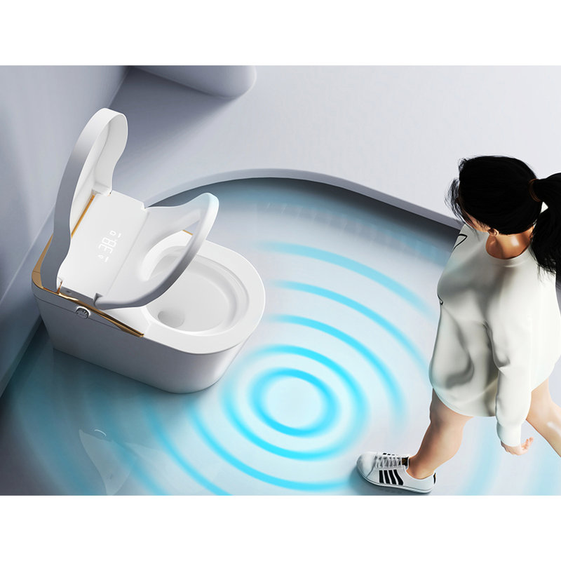 JuteJasper 5808556554FDAAC 1 GPF Round Comfort Height Chair Height Toilet