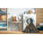 Indoor Rug-67716259