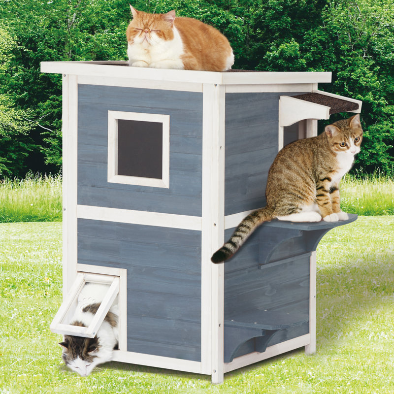 Chitose Cat House, Gray