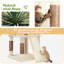 80.31cm H Cat Tree-1386219395