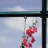 Palram - Canopia Prestige Grand Hobby Gardener and EcoGrow Hanging and Anchoring Kit