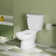 Toilette allongée deux pièces 1,26 GPF (économe en eau) (siège inclus)