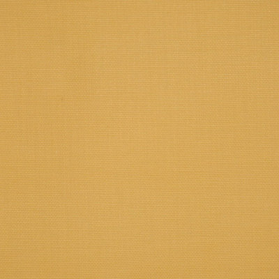 Shenanigans 100% Cotton Fabric