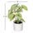 11.5'' Faux Plant in Pot-94734882