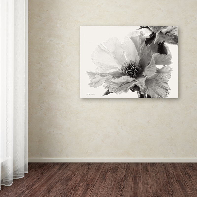 Black and White Floral Canvas Art with Frame, 14 x 19 Inches