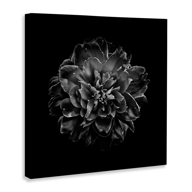 Art mural foncé sur œillets sur toile noire par Brian Carson bp-767_CN, H 17 po x l 17 po