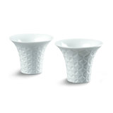 Hitoiki Sake 2 Piece Japanese Teacup Set