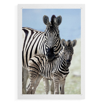 Family of Namibia - Impression sur toile seulement - NON-CADRE