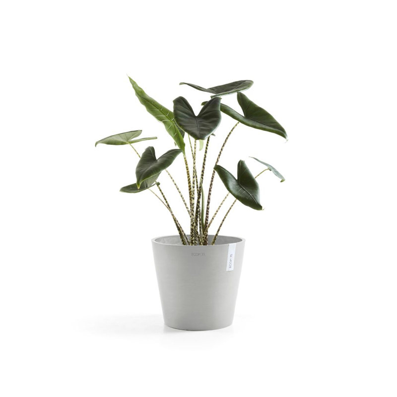 Jardinières en pot, H 10 po x l 10 po x P 9,65 po, Blanc gris