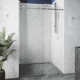 Elan E-Class 56-60" W x 76" H Sliding Frameless Shower Door with 3/8" Clear Glass