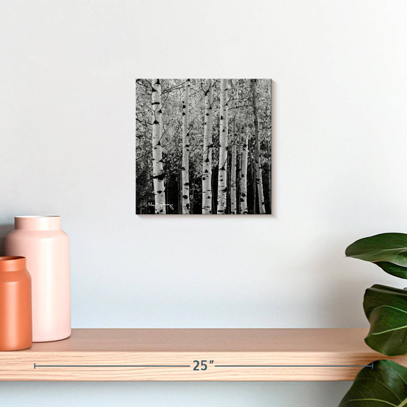 Alvord Aspens en automne BW, H 10 po x l 10 po