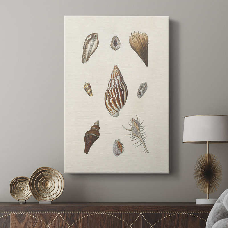 Coquillages Knorr et corail - galerie Cavas sur mesure, H 36 po x l 24 po