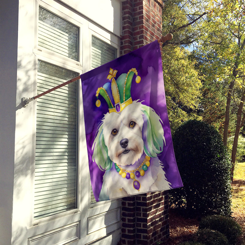 Double Sided 40'' H x 28'' W Polyester Mardi Gras House Flag