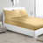 Chameau doré