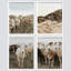 «Pastoral Sheep Lamb Farm», ensemble de 4 impressions de paysage de campagne à la ferme encadrées sur papier, impression de 4 pièces-93011894-93011897