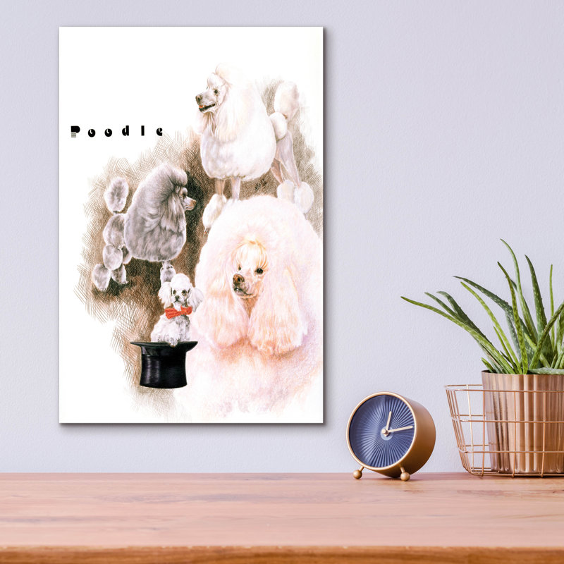 «Poodle 2» par Barbara Keith - impression non encadrée, H 16 po x l 12 po x P 0,13 po
