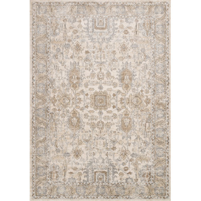 Sagefield Oriental Indoor Rug