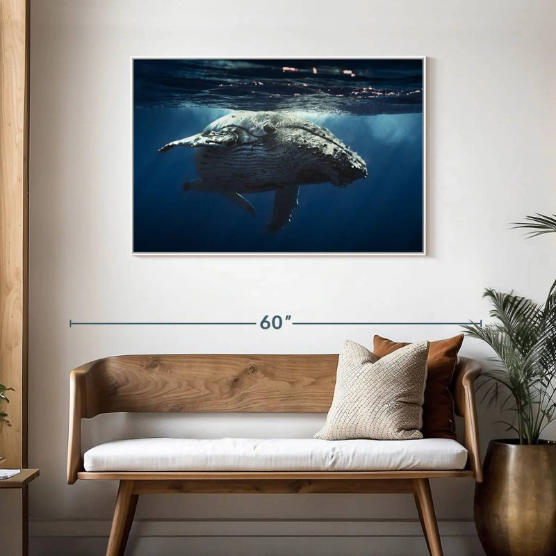 Baleine écumante, Cadre flottant blanc, 43 po x 29 po
