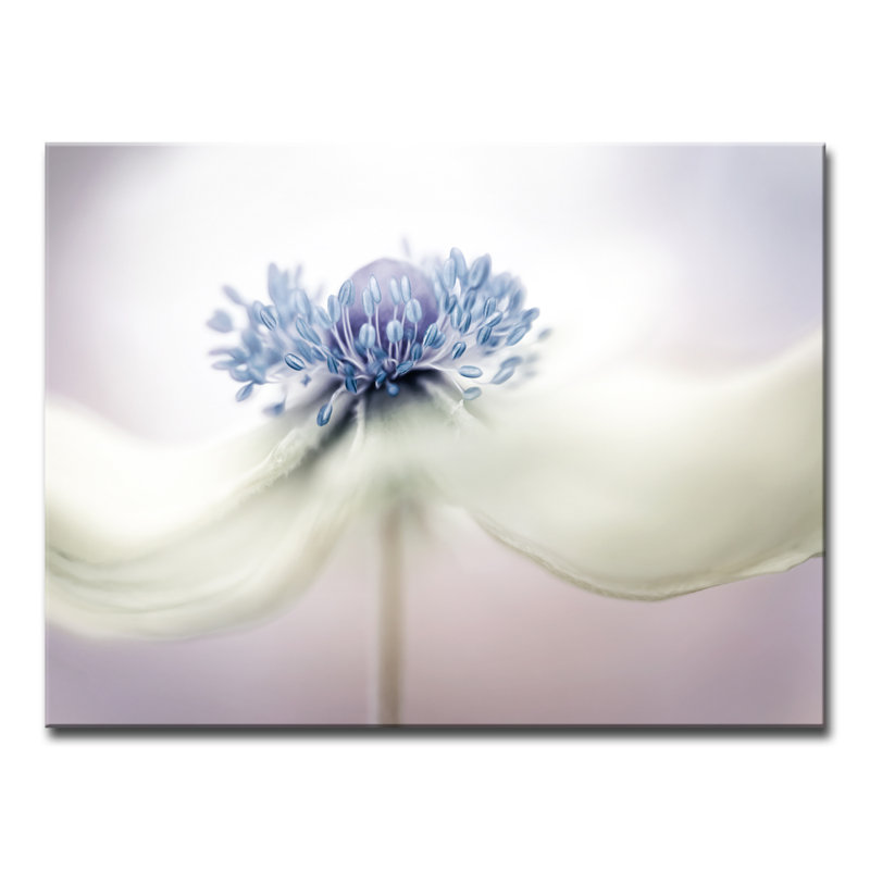 « anemone », impression sur toile, H 12 po x l 16 po x P 1,5 po