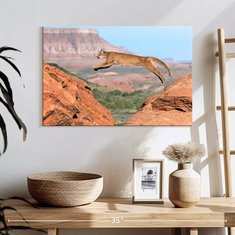 Brampt Mountain Lion, 16'' H x 24'' W