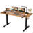 Electric Adjustable Height Standing Desk