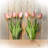 Tulip Arrangement-508947882