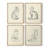 House Cat I Framed Print - Set of 4-374469271-374469258