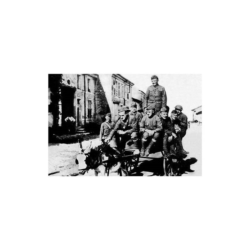 Reproduction de photo à partir de east, H 44 po x l 66 po x P 1,5 po