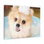 No Frame Print on Canvas