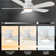 Gabrand 48'' Ceiling Fan with light
