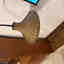 Customer photo 2 of 2