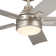 52'' Ceiling Fan with LED Lights