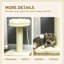 83 cm H Cat Tree / Condo