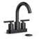 Celestine Centerset Bathroom Faucet with Drain Assembly, 2-handle Bathroom Sink Faucet