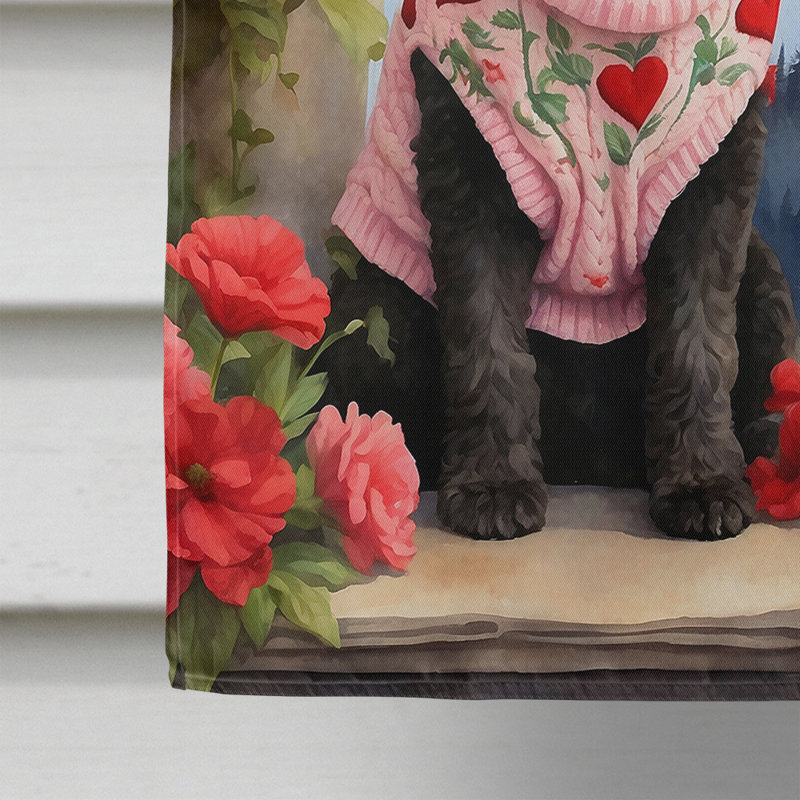 Double Sided 40'' H x 28'' W Polyester Valentine's Day House Flag