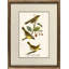 Maryland Yellow Warbler Print