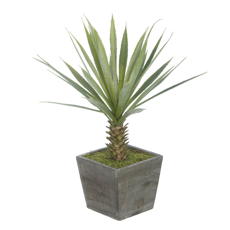 Plante de bureau yucca artificielle en pot de fleurs, Gris