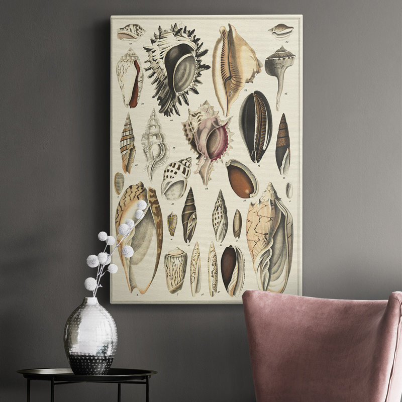 Seashell Display " Seashell Display ", 18" H x 12" W x 1" D