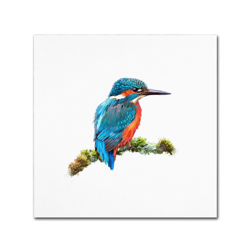 Armand «Kingfisseur 1», reproduction sur toile, H 18 po x l 18 po x P 2 po