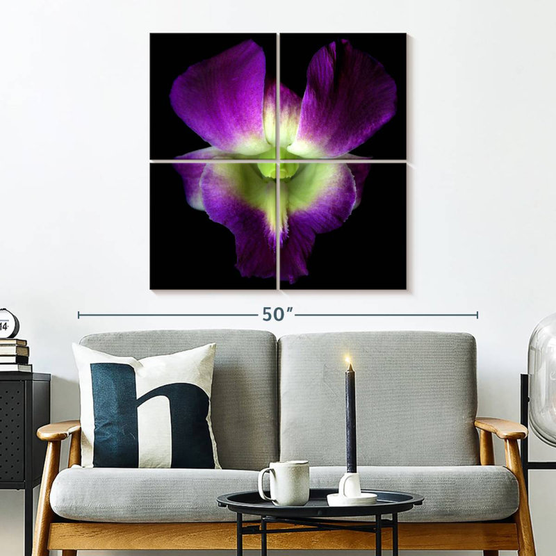 Orchidée Harnek Solo, H 32 po x l 32 po