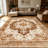 1PC Vintage Persian Medallion Neutral Brown area rugs for Living Room, Soft and Comfortable, Suitable for all seasons, easy-to-maintain, machine washable Indoor floor mat, Under Table Farmhouse suitable for dining room, bedroom, entryway, kitchen.-129692062