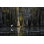 Aigrette au lac Caddo par Wanderluster